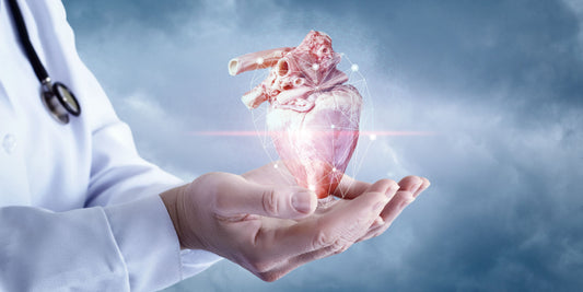 Heart Health: Nourishing Your Cardiovascular System with Herbal and Nutritional Support